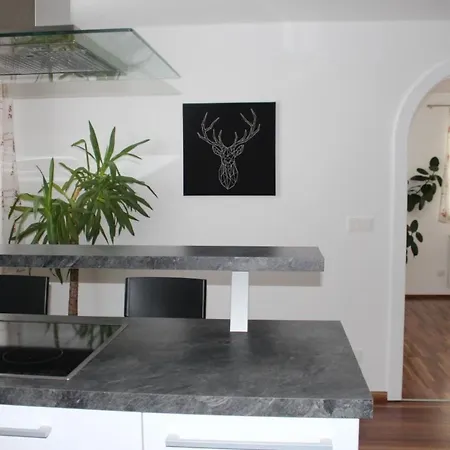 Mit Blick Auf Berge By Interhome Lägenhet Bad Vigaun