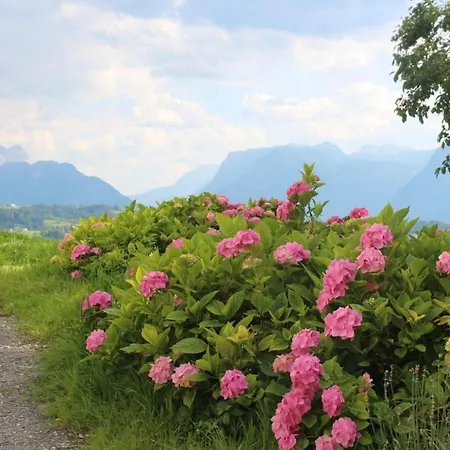 Mit Blick Auf Berge By Interhome * Bad Vigaun