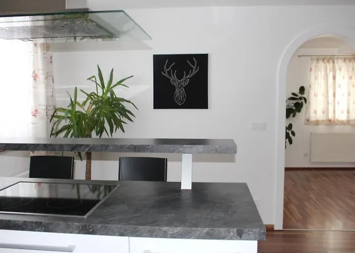 Mit Blick Auf Berge By Interhome Lägenhet Bad Vigaun