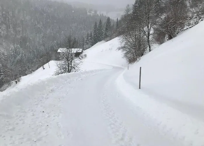 Mit Blick Auf Berge By Interhome * Bad Vigaun