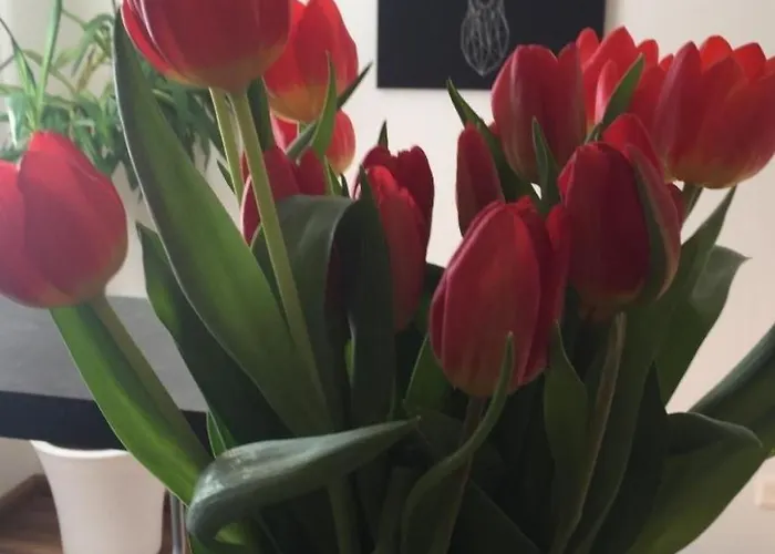 Lägenhet Mit Blick Auf Berge By Interhome *